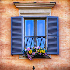 Fototapeta na wymiar window with blue shutters and flowers
