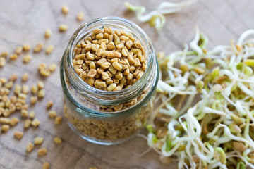 Fenugreek seeds, with sprouted fenugreek in the background