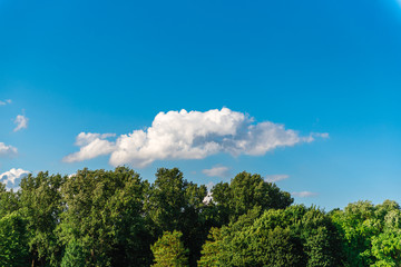 Obraz premium Blue Mind