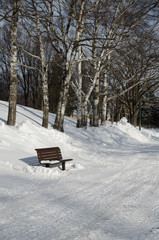 冬の公園
