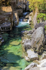 Fototapeta na wymiar Waterfall in moss forest in Yakushima Island Japan