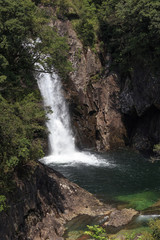 Waterfall  in moss forest in Yakushima Island Japan