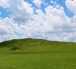 The green grass landscape with the white clouds in the sky.