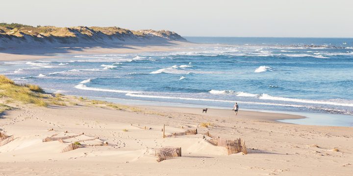 A Man with his best friend, walking in Cabedelo Beach at morning, Viana do Castelo, Portugal.