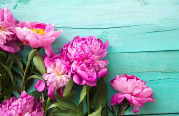 Washable wall murals Peonies pink peonies on a turquoise background