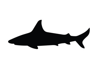 black shark silhouette- vector illustration