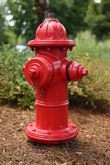 Fire Hydrant Outside In Rain Isolated