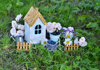 Small white house with roses and daisy flowers in the garden
