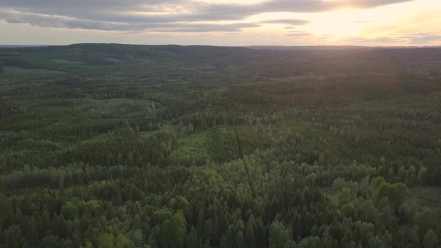 swedish landscaope by drone
