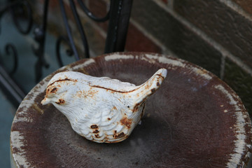 Rusty Metal Bird Outdoors