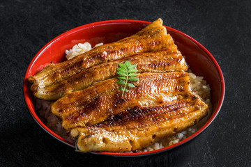 最高級日本産鰻の蒲焼 high quality Japanese broiled eel 