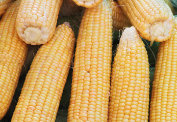 corn in the market