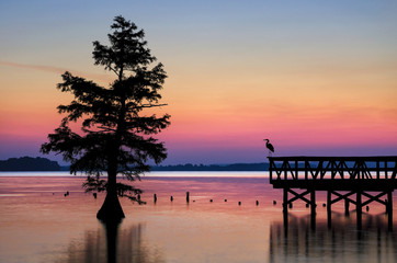 Scenic sunrise and egret, Reelfoot Lake, Tennessee