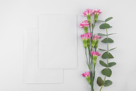 Two blank white cards decorated with Baby eucalyptus leaves and pink carnation flowers on white background