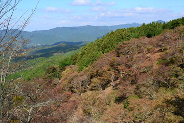 秋の吉野山