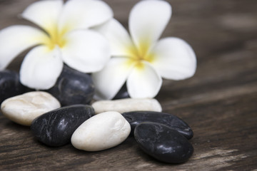 Naklejka na ściany i meble Frangipani plumeria Spa Flower with massage stones on wood background.