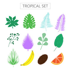 Set with tropical leaves icons