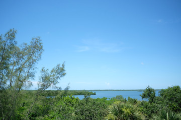 Fototapeta na wymiar landscape of florida island
