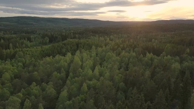 swedish landscaope by drone
