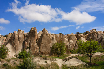 Fototapeta premium fairy chimneys of Cappadocia