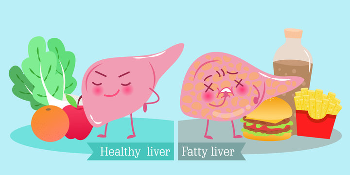 liver with health concept