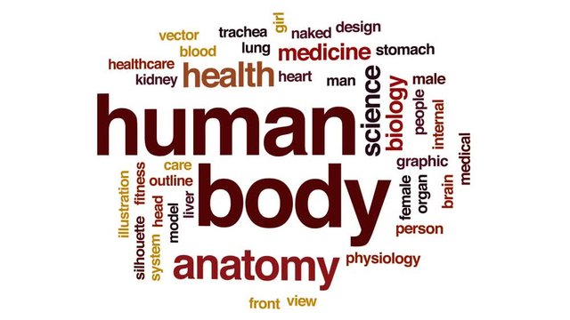 Human body animated word cloud, text design animation.