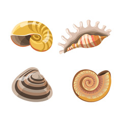 Shells or seashells vector isolated icons