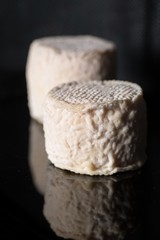 Studio shot of traditional goat cheese Chabichou