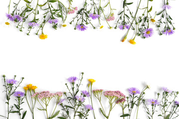 Floral and plants on white background. Frame of flowers. March 8, mother's day background. Top...