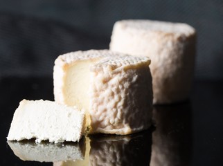 Studio shot of traditional goat cheese Chabichou