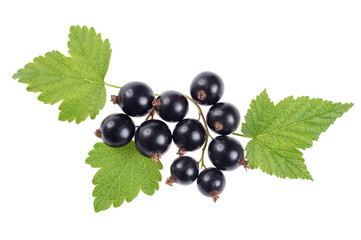 Sweet shiny black currant berries with leaves, isolated on white. Close-up