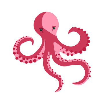 Pink octopus with long tentacles and round suckers