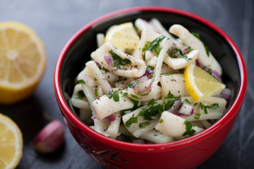 Close-up of a red bowl with calamari salad, selective focus, shallow depth of field, horizontal shot