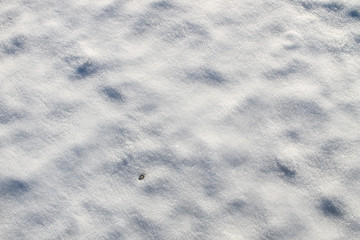 White snow textured background