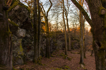 Wald und Felsen im Herbst - Kempfeld, Deutschland