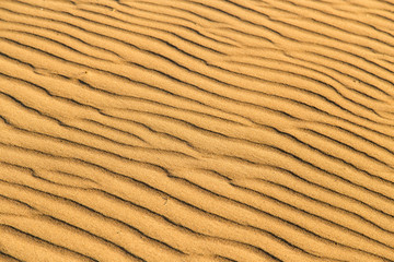 Sand in the desert as a background