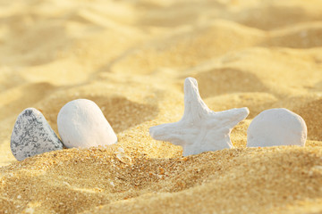 Fototapeta na wymiar Sea sand with starfish and shells