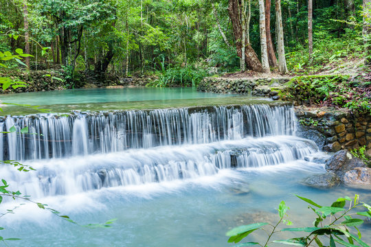 Jungle stream flowing into a small pool, with surrounding rain forest at Paeng Waterfall, Ko Pha Ngan, Thailand. © Vasit