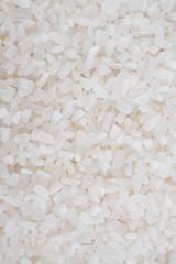 white rice, natural long rice grain for background and texture on white background