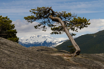 View point from cliff above valley with mountains and clouds.