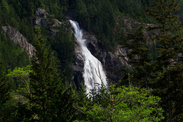 Big waterfall in green forest on sunny day