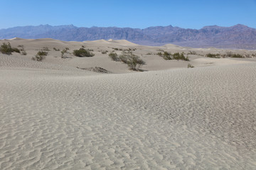 Sand Dunes in Death Valley. California. USA