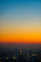 Fototapeta premium 東京の夕焼け