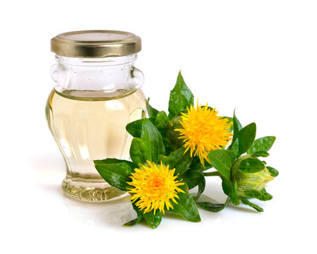 Safflower plant with oil in the bottle.