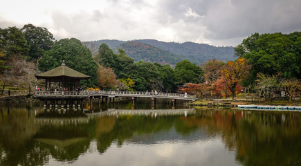 Landscape of Nara Park at autumn in Japan