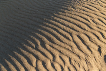 Sand in the desert as a background