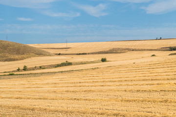 spanish field landscape