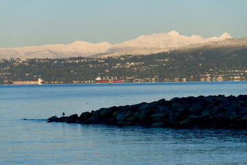 Fototapeta na wymiar Cargo ship in bay with mountains in background