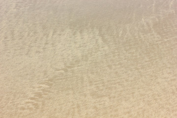 Fine beach sand in the summer sun sandy trails