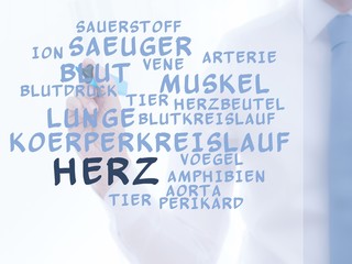 Herz